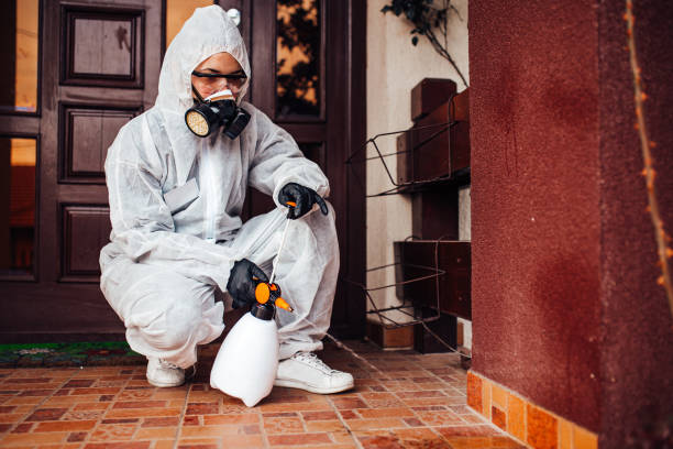Reliable Wasp Removal contractor in Kings Mills, OH by Show Me Pest Control